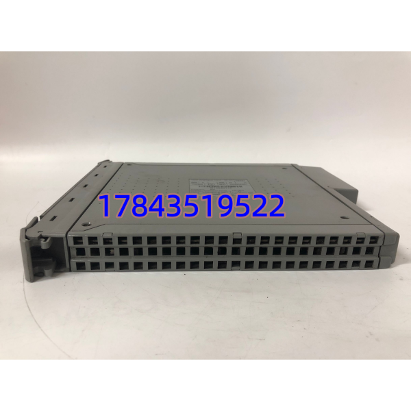 ICS Triplex T8431 | 40 通道 TMR 模拟输入卡
