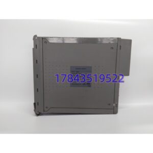 ICS Triplex T8311 | 扩展总线接口模块