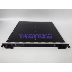 Triconex PM01-A-V001 | TMR 系统逻辑电源模块