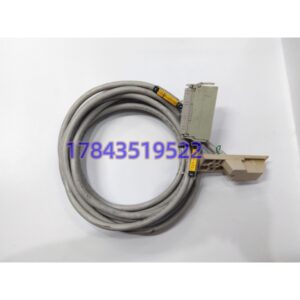 Moore 16137-119 | APACS/QUADLOG 系统专用 I/O 连接电缆