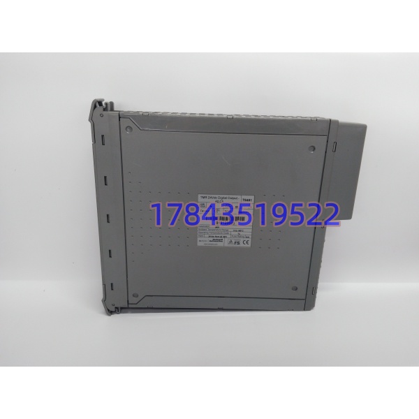 ICS TRIPLEX T8451 | Trusted TMR 40 通道 24V 数字输出模块 SIL3 现货 - 图片 2