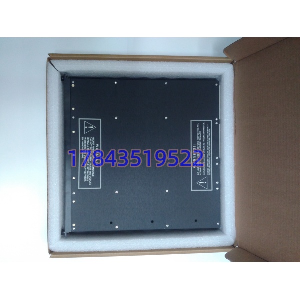 Triconex 3721 | 差分模拟输入模块 - 图片 3