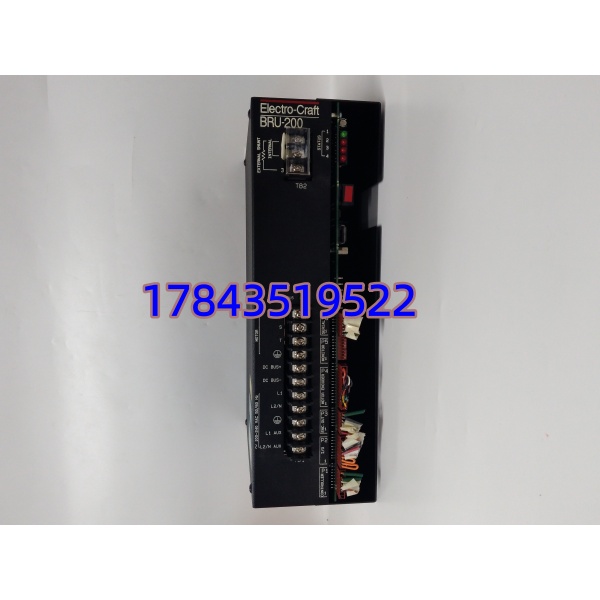 瑞恩 DM-20 | BRU-200 单相伺服驱动单元 - 图片 3