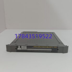 ICS TRIPLEX T8461C | Trusted TMR 40 通道 24/48V SIL3 数字输出模块