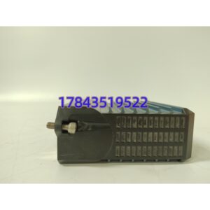 FOXBORO FEM100 P0973CA | Evo I/A 系列现场总线扩展模块 DCS 备件现货