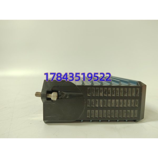 FOXBORO FEM100 P0973CA | Evo I/A 系列现场总线扩展模块 DCS 备件现货