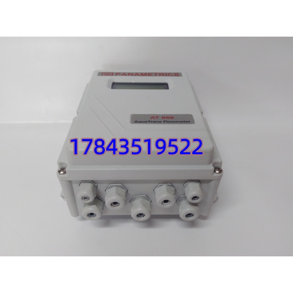 GE Panametrics AT686W-1-1-1-1 | 全参数标准配置 - 图片 4