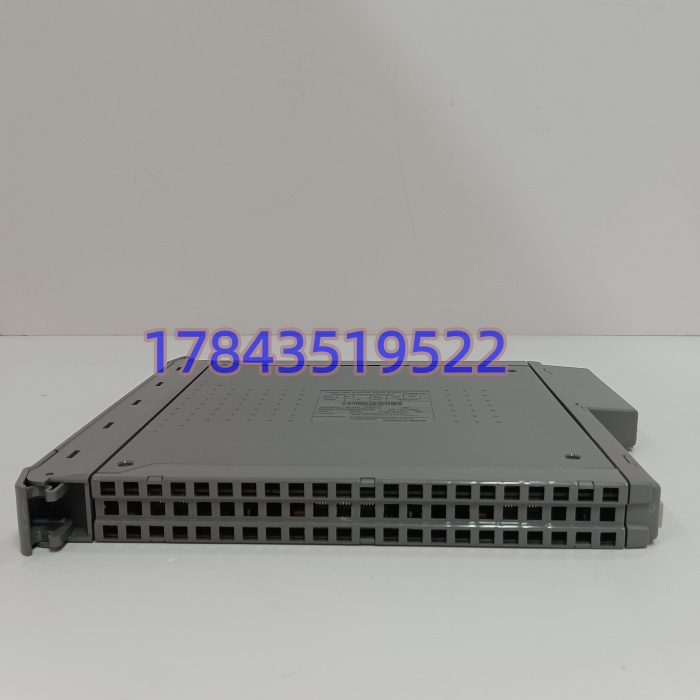 ICS TRIPLEX T8461C | Trusted TMR 40 通道 24/48V SIL3 数字输出模块 - 图片 4
