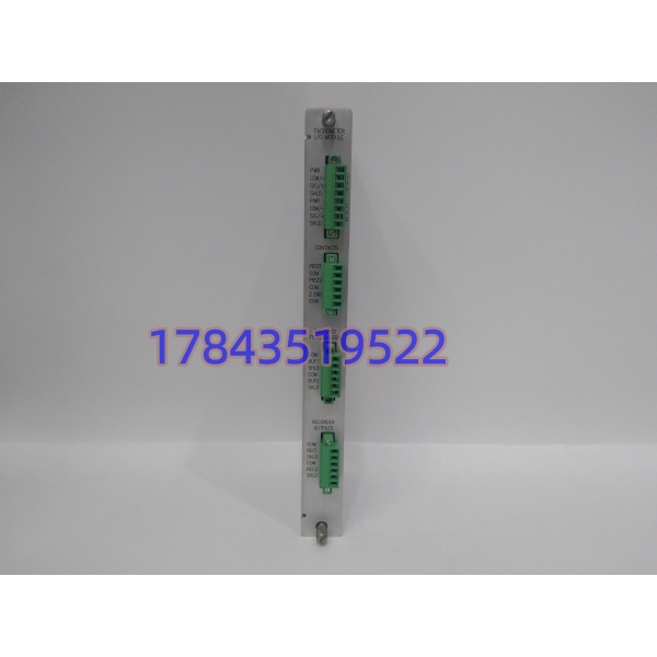 Bently Nevada 133442-01 | 3500/50M 内置端子 I/O 模块 - 图片 3