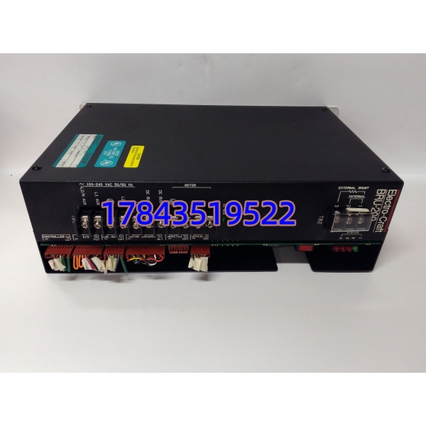 瑞恩 DM-20 | BRU-200 单相伺服驱动单元 - 图片 2