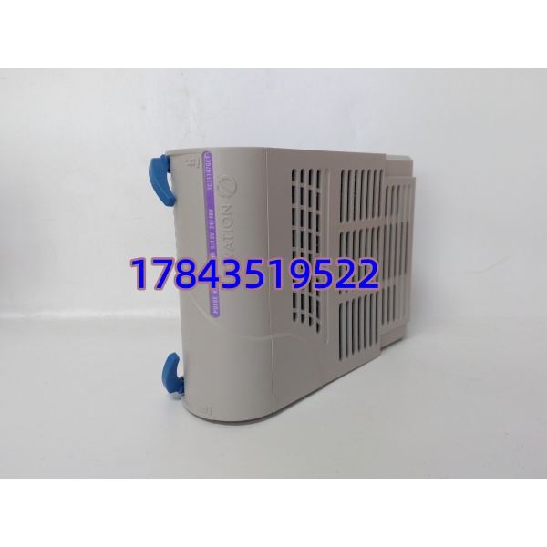1C31147G01 Emerson | 计量专用 I/O 卡件 - 图片 3