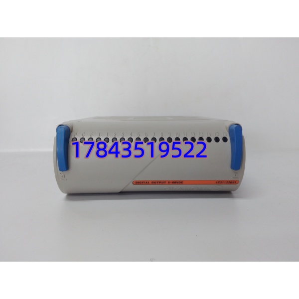 Emerson 1C31122G01 | 数字输出卡件 - 图片 4