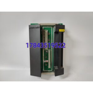 TRICONEX 2401 | 三重冗余 SIS 安全 DO 基板 原厂标准规格
