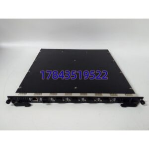 康吉森 CM01 系列 CM01-A-V001 | IEC61508 认证 电厂化工专用备件