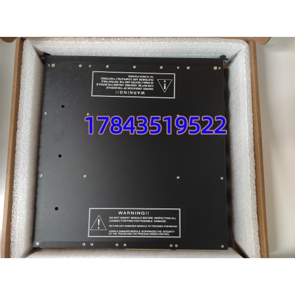 TRICONEX 3625C1 | Tricon 系统 TCM 三重冗余通讯模块 全新现货供应
