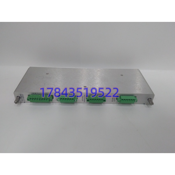 Bently Nevada 133442-01 | 3500/50M 内置端子 I/O 模块 - 图片 4