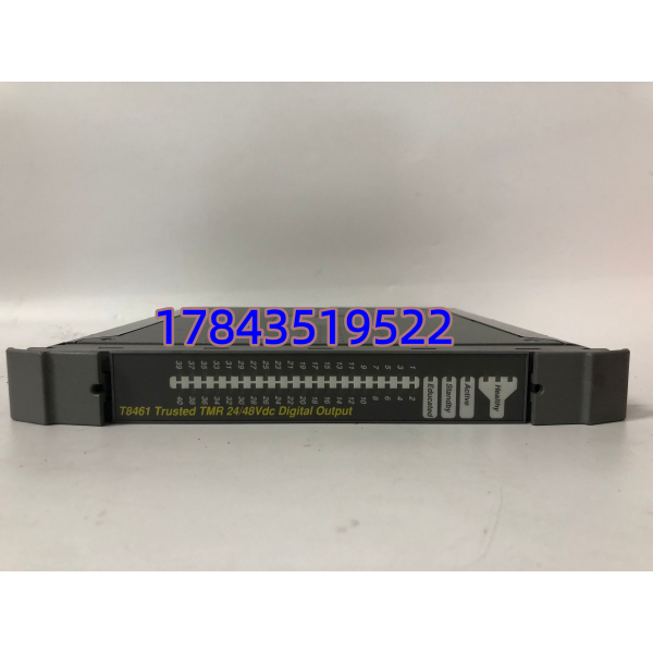ICS Triplex T8461 | TMR 三重冗余数字输出模块