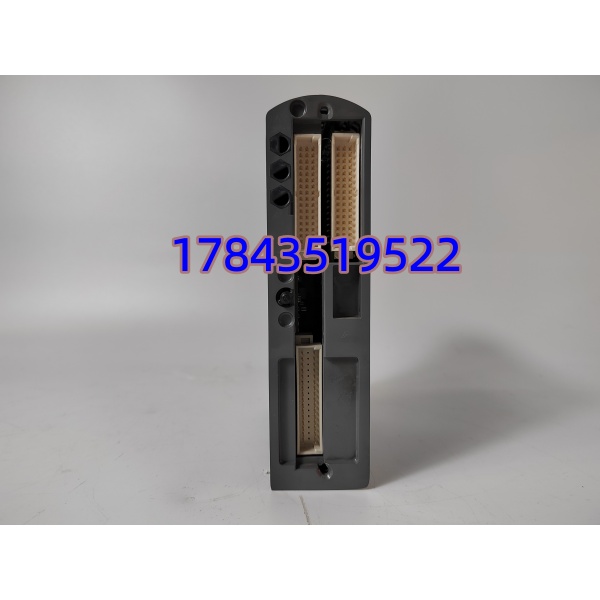 ICS TRIPLEX T9402 | T9100 系统三重冗余通讯处理器模块 现货库存 - 图片 2