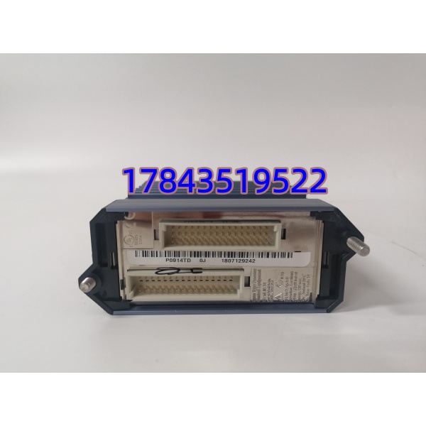 Foxboro P0914TD FBM207 | 24/48VDC 触点采集 事件序列 SOE 卡件 - 图片 4
