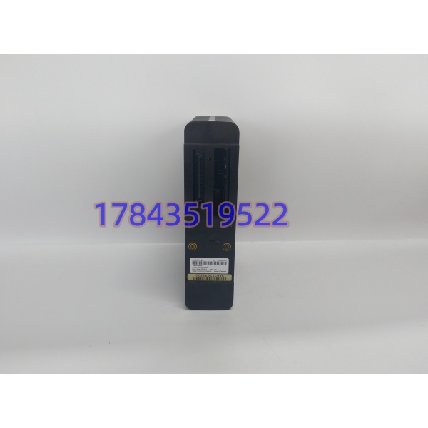 VE3007 KJ2005X1-BA1(12P4375X012)| DeltaV MX 高性能控制器 - 图片 2