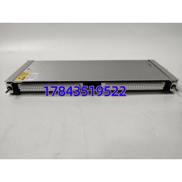 本特利 128229-01 | 3500/42M 配套卡件 - 图片 2