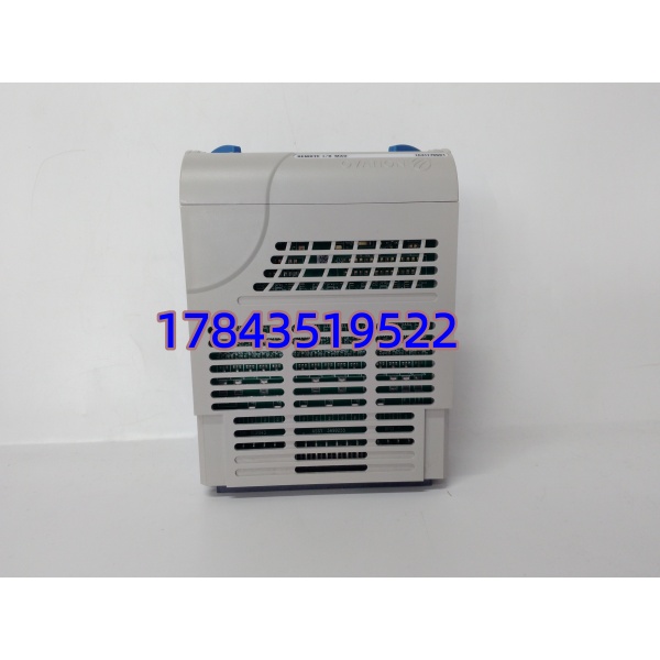 Emerson 1C31179G01 | RIOMAU 通信主单元
