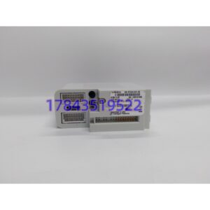 Emerson 8106-TI-RT | PAC8000 4 通道 RTD 热电阻输入模块