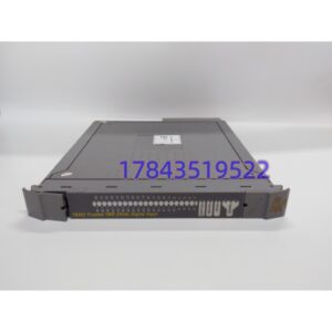 ICS TRIPLEX T8403 | Trusted TMR 40 通道 24V 数字输入 SIL3 模块