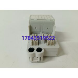 GE 8610-FT-NA | PAC8000 通用模拟量现场端子模块现货备件