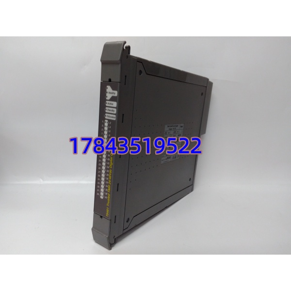 ICS Triplex T8461 | 40 通道安全输出模块