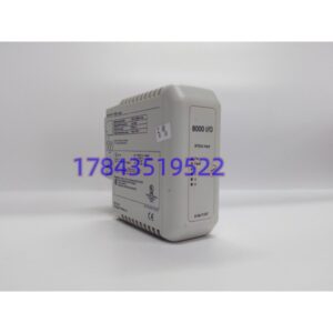 GE 8106-TI-RT | PAC8000 4 通道 RTD 热电阻输入模块