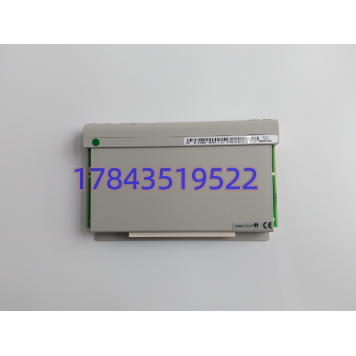 Westinghouse 1C31219G01 | 250VAC/10A 触点输出模块 火电水处理控制系统备件