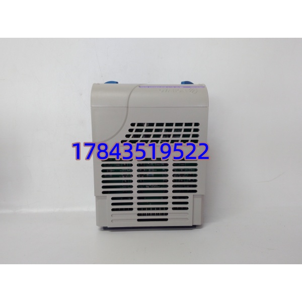 1C31147G01 Emerson | 计量专用 I/O 卡件 - 图片 2