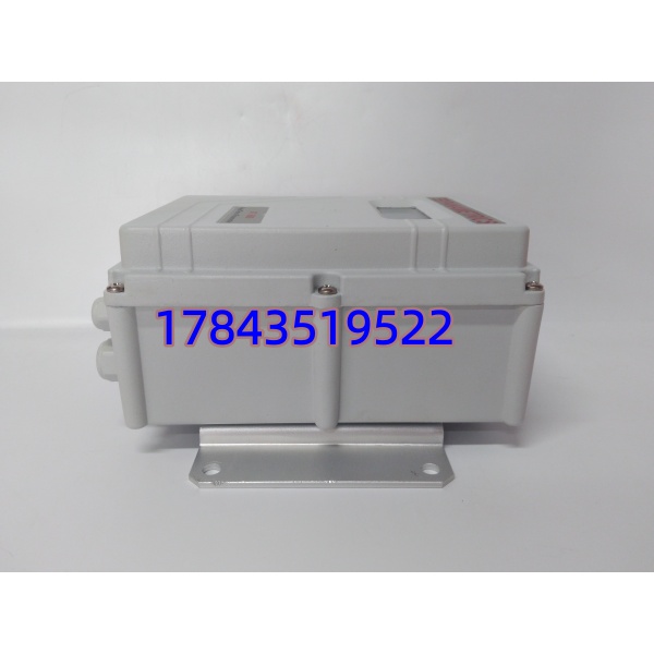GE Panametrics AT686W-1-1-1-1 | 全参数标准配置