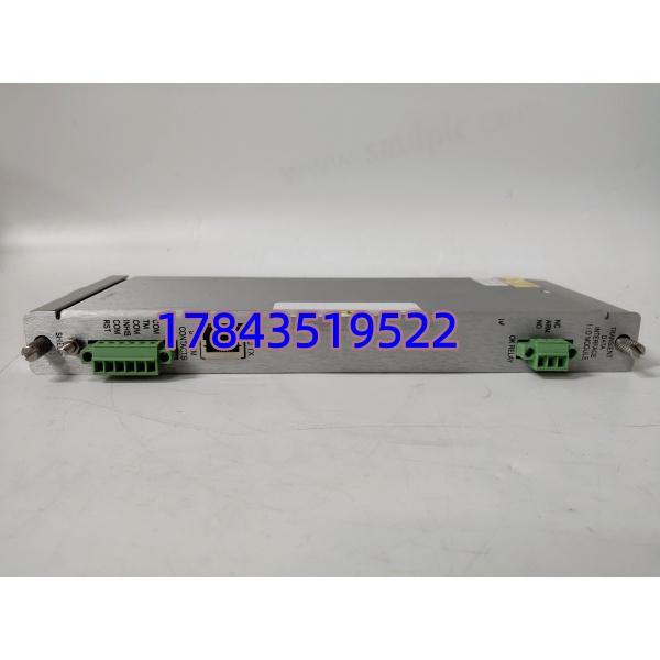 Bently Nevada 146031-01 | 3500/22M 瞬态数据接口