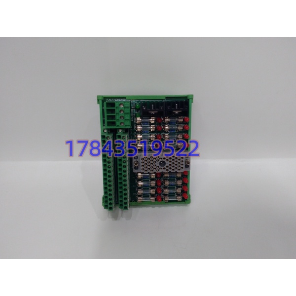 Triconex 9662-810 | Tricon 安全系统 I/O 端子底座 接线终端模块