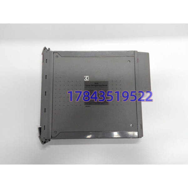 ICS TRIPLEX T8403 | Trusted TMR 40 通道 24V 数字输入 SIL3 模块 - 图片 3