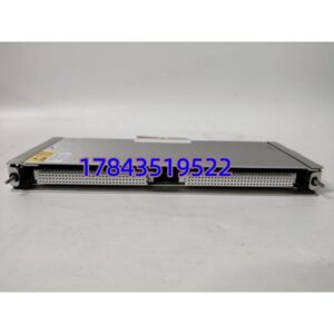 Bently Nevada 146031-01 | 机架一号插槽适配
