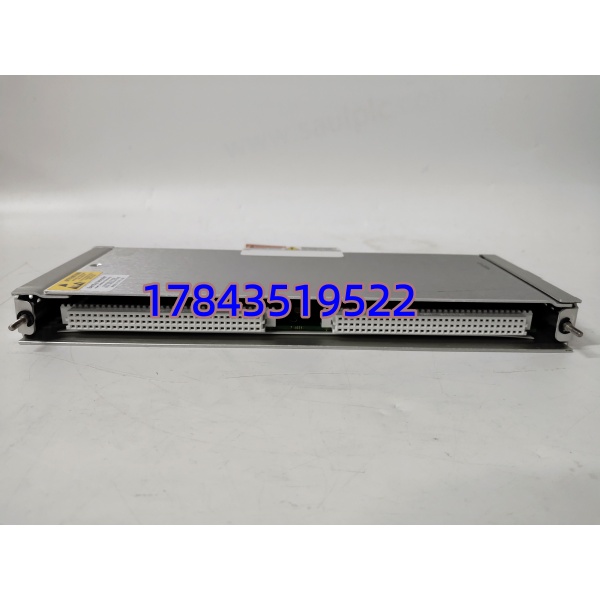 Bently Nevada 146031-01 | 机架一号插槽适配
