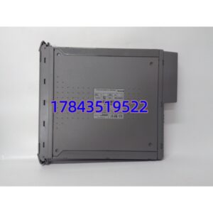 ICS Triplex T8161B | TMR 三重冗余模拟表决模块