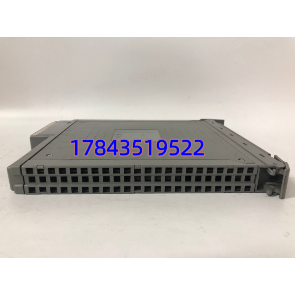 ICS Triplex T8310 | TMR 安全系统扩展卡