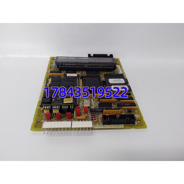 GE DS215SLCCG1AZZ01B | 局域网板卡 - 图片 3