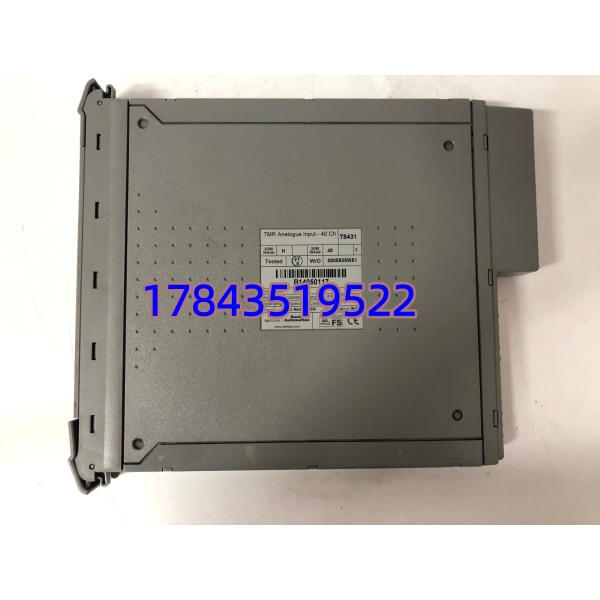 ICS Triplex T8431 | 40 通道 TMR 模拟输入卡 - 图片 4