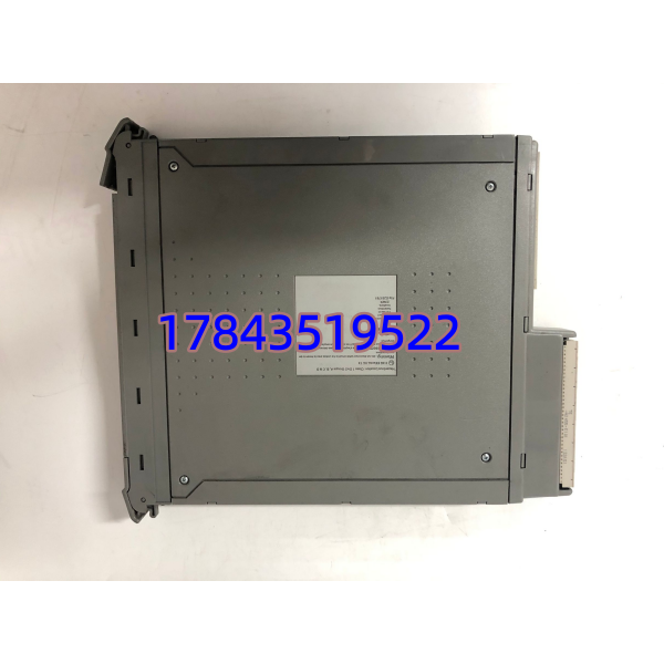 ICS TRIPLEX T8311 | TMR 扩展接口模块 - 图片 2