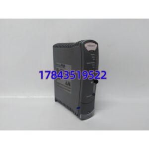 ICS TRIPLEX T9110 | SIL3 安全控制器