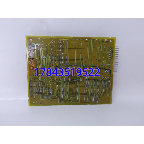 GE DS215SLCCG1AZZ01B | 局域网板卡 - 图片 4