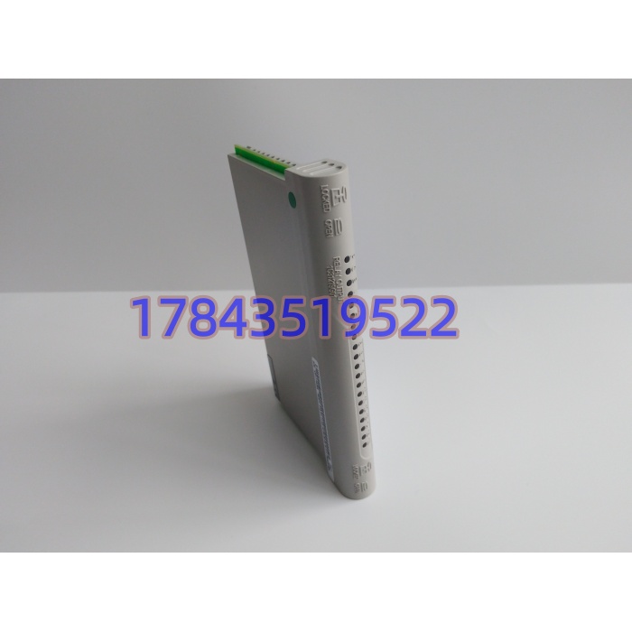 Westinghouse 1C31219G01 | 250VAC/10A 触点输出模块 火电水处理控制系统备件 - 图片 2