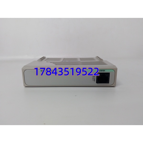 Emerson 1C31201G01 | 伺服驱动个性卡 - 图片 3