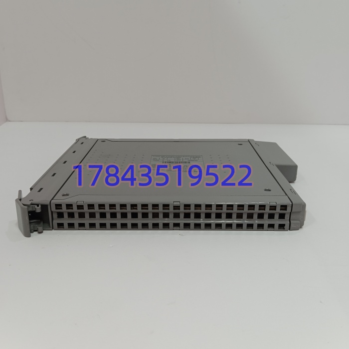 ICS Triplex T8480C | 三重冗余 24VDC DI 卡 阀门限位 ESD 安全信号采集 - 图片 2