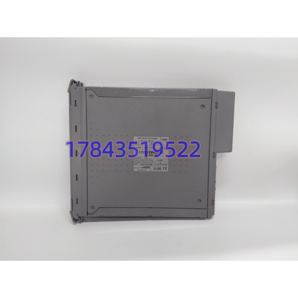 ICS TRIPLEX T8461 | Trusted TMR 40 通道 24/48V 直流数字量输出模块 - 图片 4